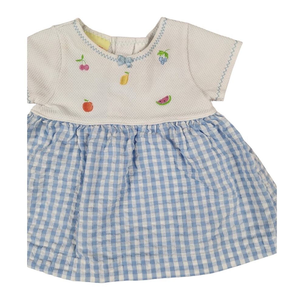 In Design Kids 12M Blue Gingham Fruit Embroidered Baby Dress Cottagecore Vintage